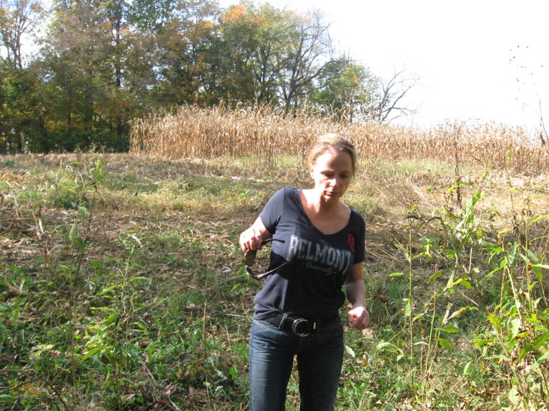 Cooley_-_Brewer_Cemetery_Oct._2011_080.jpg
